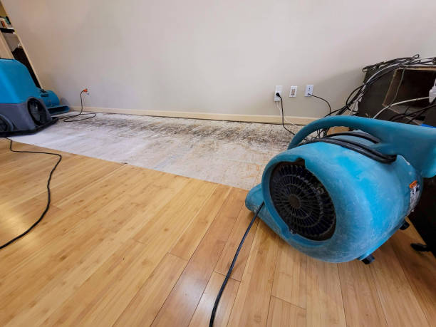 Professional Flood Damage Cleanup technician working in Myrtle, MS